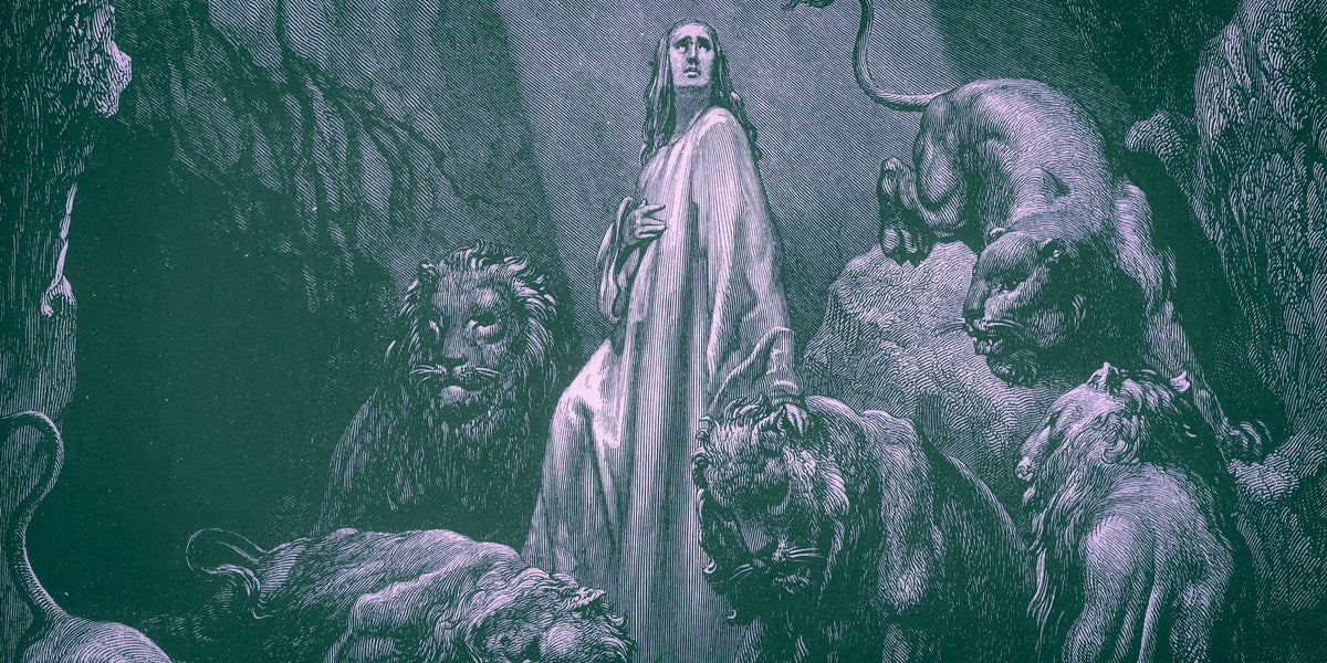 𝑽𝑰𝑰 - Léōn